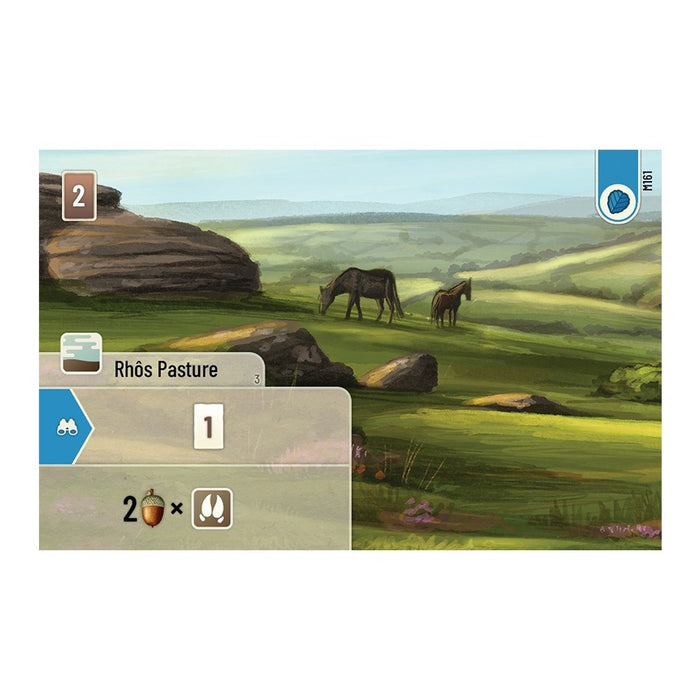 Forest Shuffle: Dartmoor Stand Alone Card Game