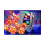 Infinite Black Poly Dice Set: Fireball (11 Piece)