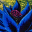 Magic: The Gathering - Black Lotus Single-Sided Throw Blanket (45 x 60 Inches)