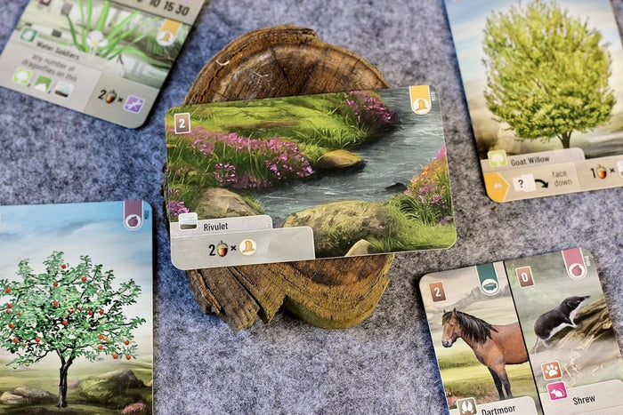 Forest Shuffle: Dartmoor Stand Alone Card Game