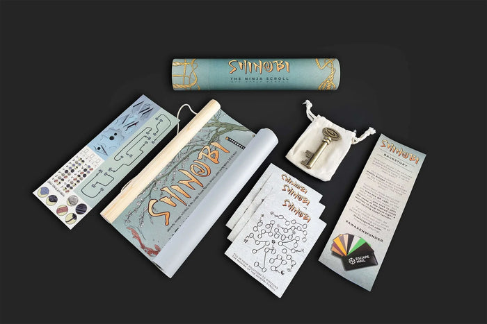 Shinobi: The Ninja Scroll Interactive Puzzle Adventure Game