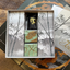 Tsuro: The Game of the Path 20th Anniversary Edition Board Game